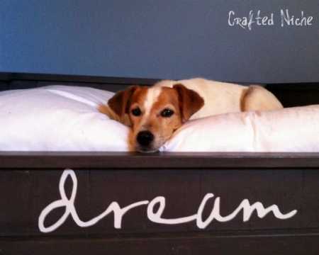 \"dog-bed\"